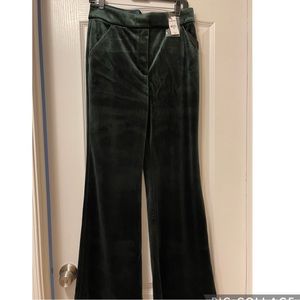 Brand new Express Velvet pants in green size 10R